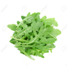 rucola